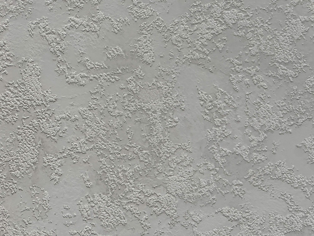 IMG_5392